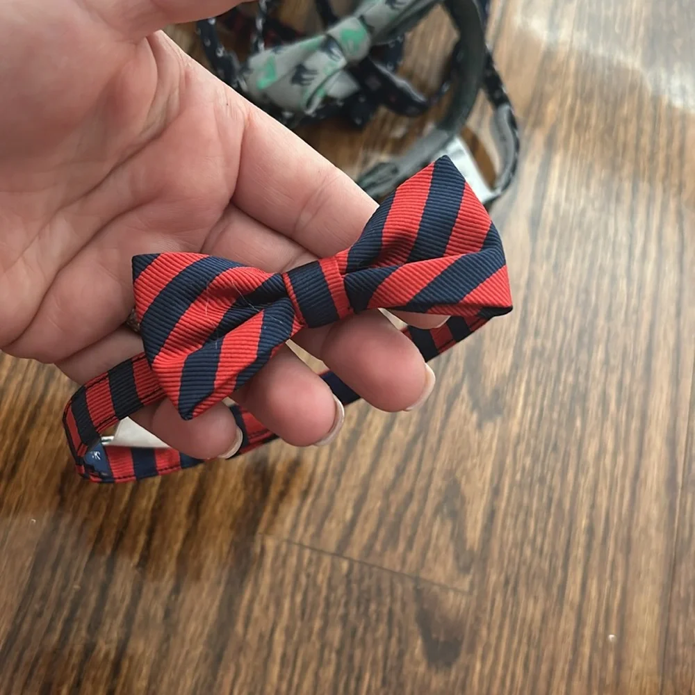 Janie and Jack boys bowtie
